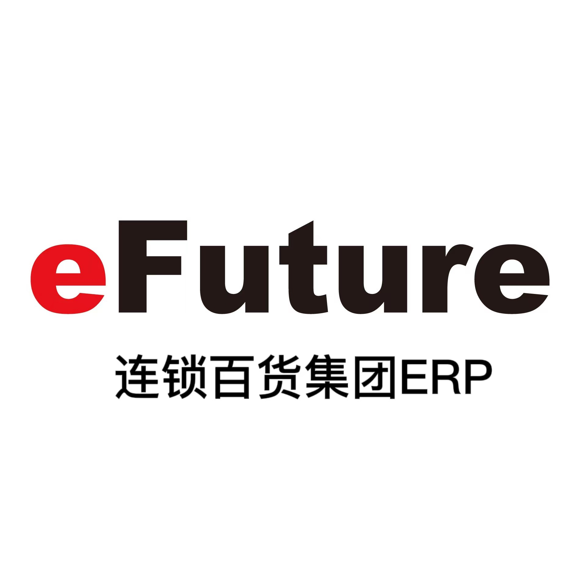 eFuture连锁百货集团ERP系统