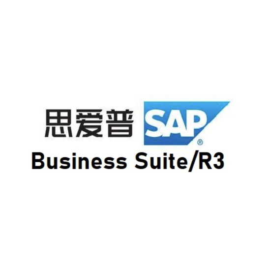 SAP Business Suite/R3