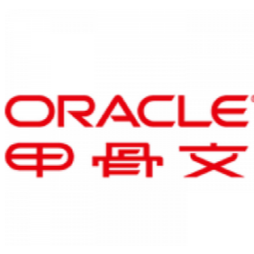 Oracle NetSuite MES